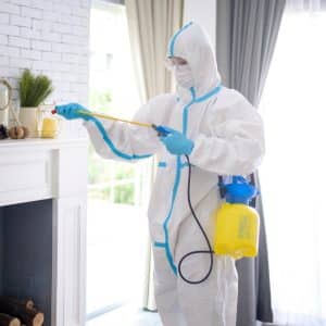 Dératisation en Tunisie : Solution Professionnelle et Efficace Contre les Rats et Rongeurs